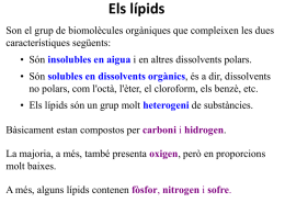 Els lípids - IES Ramon Llull
