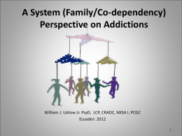 A System: Family Perspective on Addictions