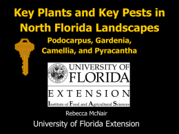 Key Plant Key Pest of North Florida