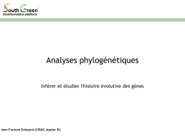 Support de cours condensé (phylogenie)