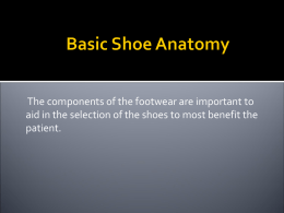 Basic Shoe Anatomy