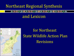 Northeast Regional Synthesis & Lexicon for State Wildlife Action