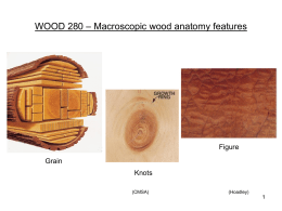 (5) Grain, knots, figure - Wood Anatomy and Identification