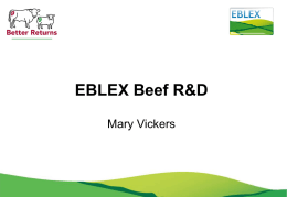 EBLEX Beef R & D