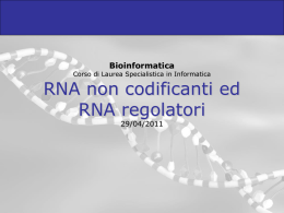 10-ncRNA_microRNA_2011 - Dipartimento di Matematica e