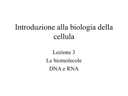 Lez. 3 DNA e RNA