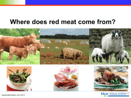 Where does red meat come from.