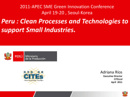 Peru : Clean Processes and Technologies to support Small Industries