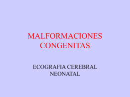 malformaciones_congenitas