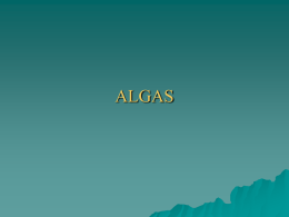 ALGAS - Colegio Ideal