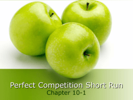 Perfect Competition Short Run