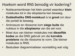 A) Les: Struktuur van RNA