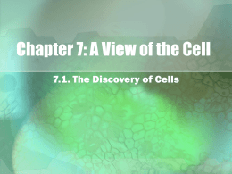 BioCh7-A View of the Cell