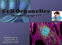 cell_organelles
