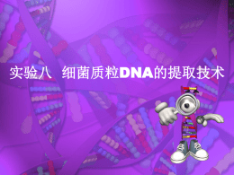 遗传学实验教学课件\h实验八细菌质粒DNA的提取技术