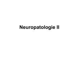 Neuropatologie 2
