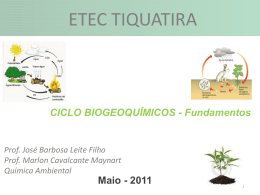 Ciclo Biogeoquímicos - Fundamentos