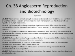 Ch. 38 Angiosperm Reproduction and Biotechnology notes