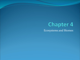 Chapter 4 Science Notes