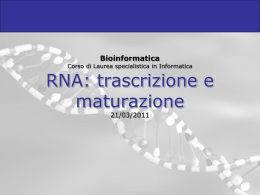 3-RNA_e_trascrizione_2011 - Dipartimento di Matematica e