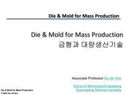 Die & Mold for Mass Production