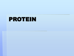iii-protein