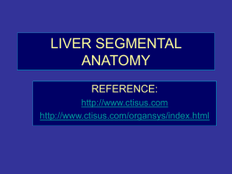 liver segmental anatomy - Department of Medical Imaging