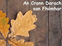 Crann Darach - Foras na Gaeilge