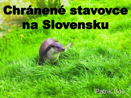 Chránené stavovce na Slovensku.
