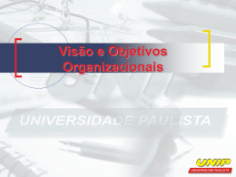 Visão e Objetivos Organizacionais