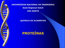 Clase de proteinas 1 - Liceo Francisco Coloane, Castro Chiloé