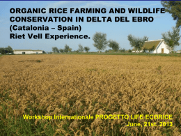 Presentaci&oacute;n de PowerPoint