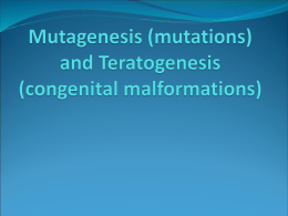 Mutagenesis (mutations) and Teratogenesis