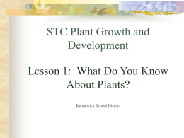 STC Plant Growth and Development Lesson 1