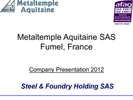 Metaltemple Aquitaine SAS - Helvet Partner Consulting