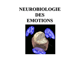 neurobiologie des emotions