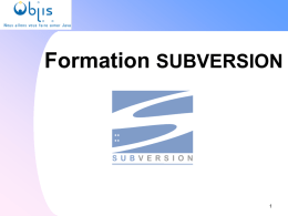 Formation SUBVERSION