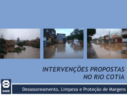intervenções propostas no rio cotia - Pinheiros