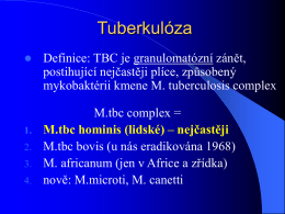 Tuberkulóza