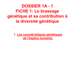 DOSSIER 1A - 1 FICHE 1: Le brassage génétique et