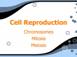 3.29 Cell Reproduction I