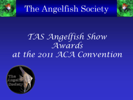 TAS Angelfish Show Winners 2011 PPT