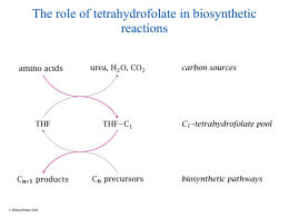 15-Tetrahydrofolate-and-B12