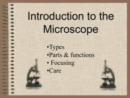Microscope