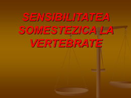 SENSIBILITATEA SOMESTEZICA LA VERTEBRATE - CNILC