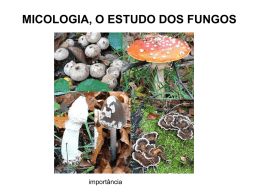 Estudos dos Fungos
