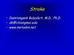Stroke - Metadon.net