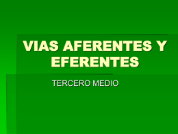 EFERENTES_AFERENTES