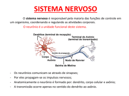 Sistema Nervoso (versão power point)