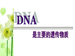 DNA是主要遗传物质